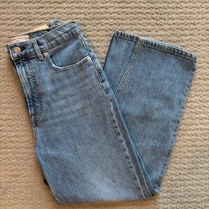 Everlane The Way High Straight Leg Regular Jean